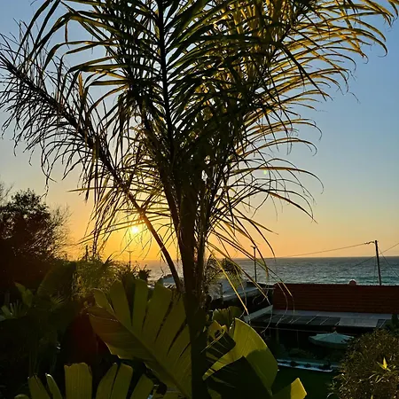 Willa Compass Sunset *